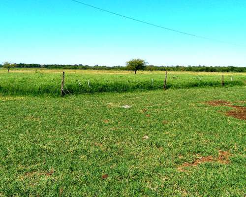 62 Hectáreas Mixtas . Sobre Ruta N463