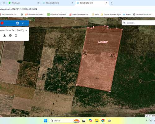 Campo Mixto Santa Clara de Buena Vista, Santa FE