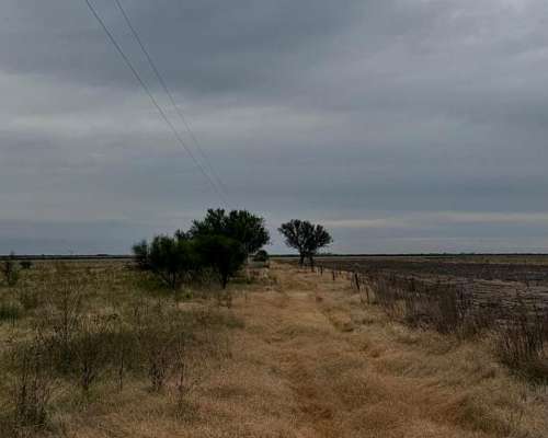 Campo en Venta Colonia Belgrano 287 Has Ganaderas