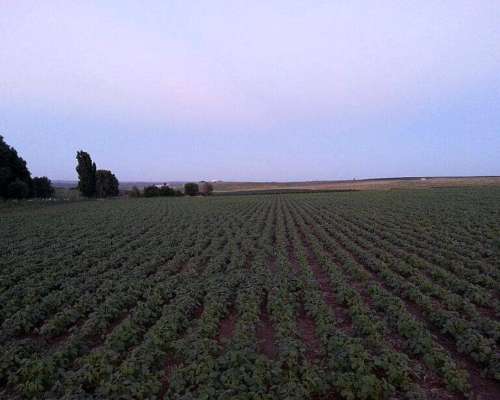 Campo en San Luis. Ubicación Estratégica e Infraestructura