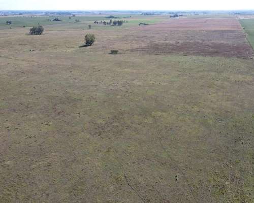 130 Hectáreas Agrícolas, Sobre Camino de Ripio, Gualeguaychú