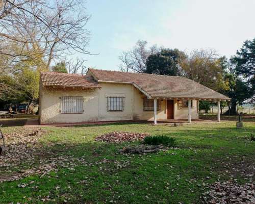 Brandsen, Buenos Aires - 116 Ha
