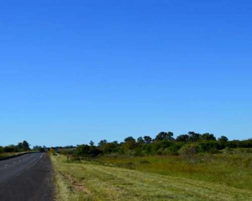 16 HA. Sobre Autovía 14 - Concepción del Uruguay (er)