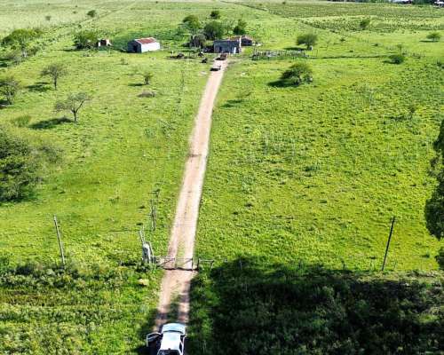 Vendo Campo 20 Has en Ruta 39 Concepción del Uruguay Entre R