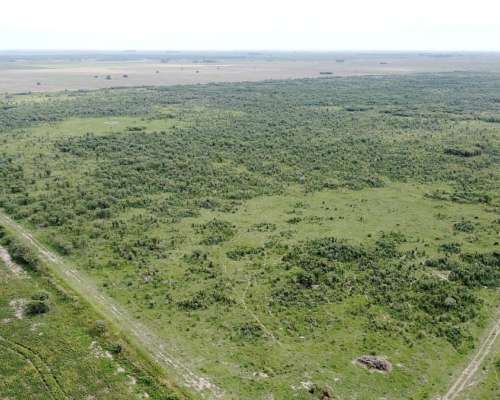 Venta Campo Mixto 687 Has. Zona Tostado (est. Pini) Santa FE