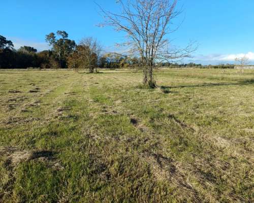 Chacras/lotes de 1 Hectárea en Cañuelas Financiados