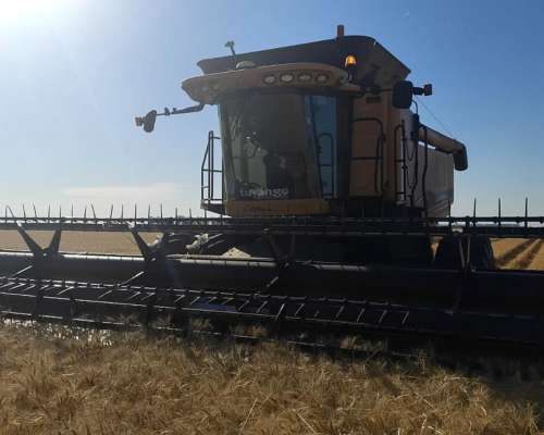 Challenger 520 C - muy Buena - ( NO Toma Canje )