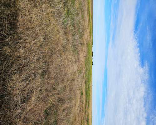 Campo Mixto con Aguadas