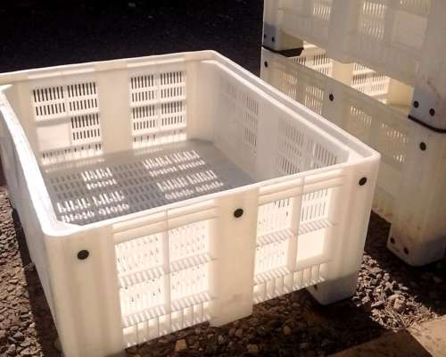 Binz Plásticos para Saladero - Quesería