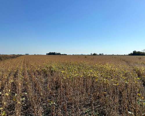 San Andres de Giles, Buenos Aires - 28,3 Ha