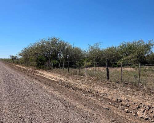 Vendo Campo en Colonia Dora 56 Has Santiago del Estero