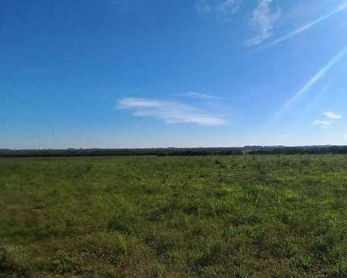 Campo Mixto 42 Hectareas Entre Rios