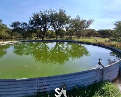 Vende: Campo Mixto de 681 Hectáreas en Naicó, la Pampa
