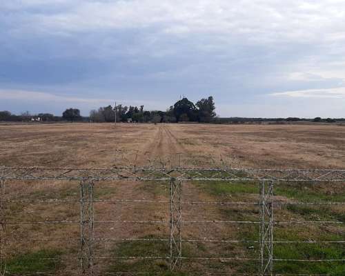 20,5 Ha Campo. con Casco. Buen Estado. Precio Inmejorable