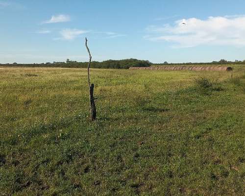 Campo Mixto 42 Hectareas Entre Rios