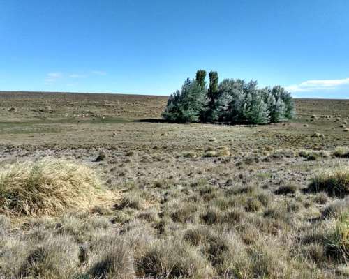 Vendo 18.800 Ha Rio Negro
