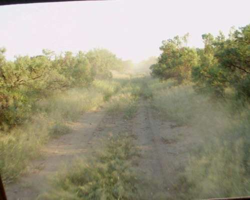 Venta de Campo en Valle Fértil, San Juan 7500 Hectáreas