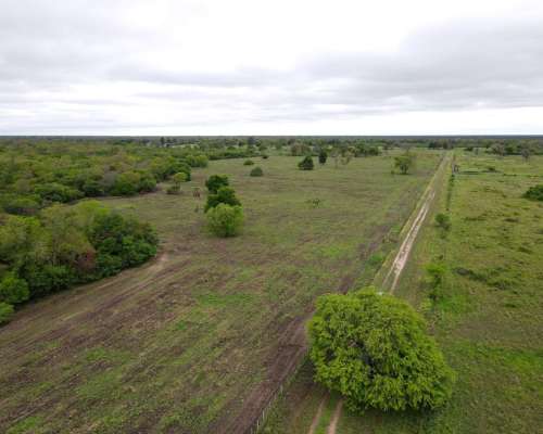 Ch0005 Campo en Presidencia de la Plaza, Chaco.