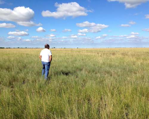 Oportunidad Dos Fracciones de Campo en Sgo. del Estero