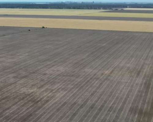 1000 Hectáreas Mixtas. Sobre Ruta.