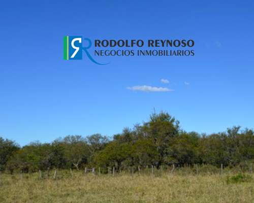 22 HA. en Villa Elisa - Entre Ríos