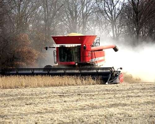 Cosechadora Massey Ferguson 9895