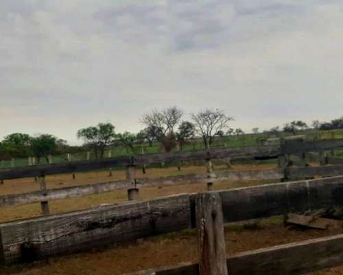 Dueño Vende Campo Gato Colorado Agricola Ganadero