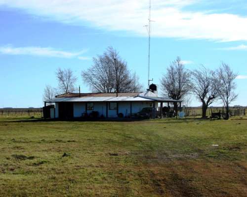Ba2648 Venta 1360 Has. Olavarria Mixto Ganadero