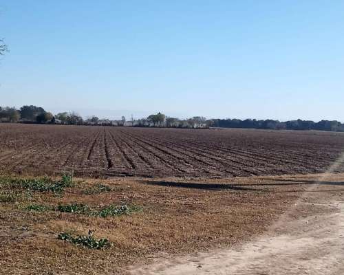 Vendo 18 Hectareas Agricolas - Ferreyra - Cordoba