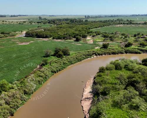 Venta Campo en Correa, Santa FE. 65 HA. Mixto.
