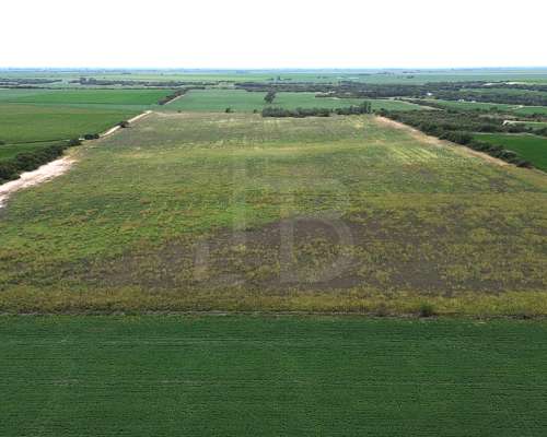 32 Has Agrícolas Lozada, Cordoba