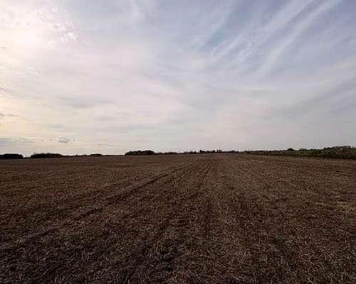 Campo 41hac Agricola Rueda Santa FE
