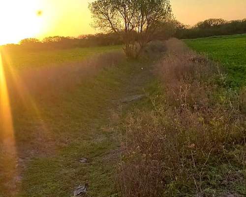 25 Hectareas con 4 Hectareas de Alfalfa Arriendo a 3 Años