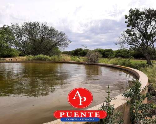 En Venta 2500 HA. Carro Quemado, la Pampa