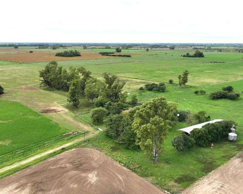 140 Has. Campo Mixto con Mejoras y Arboleda en Mercedes