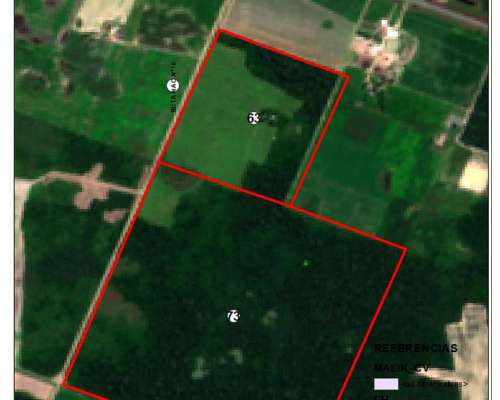 Campo Agrícola 128 Has -15 km Sáenz Peña- 500 Mts de Ruta 16