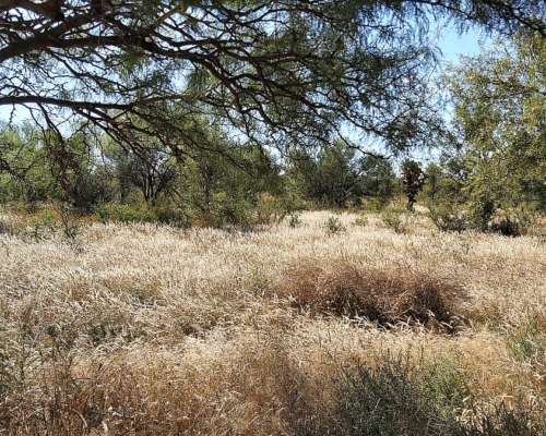 Campo Mixto en Venta - 1549 Hectáreas