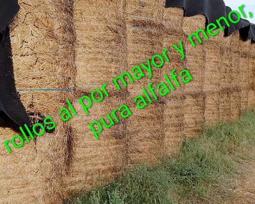 Rollos de Alfalfa, Disponibles