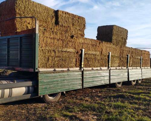 Rollos, Megafardos y Fardos Alfalfa Campaña 2025/2026