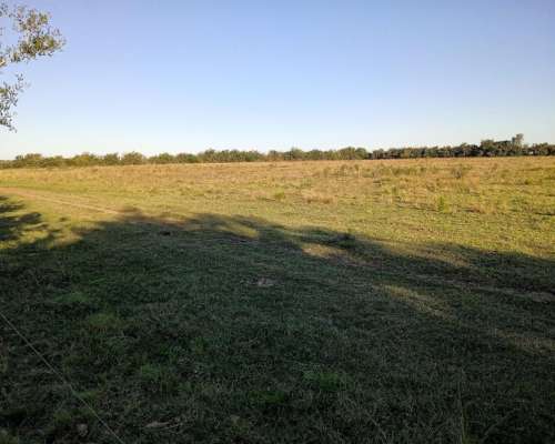 Campo 40 Hectáreas , Paraná ER