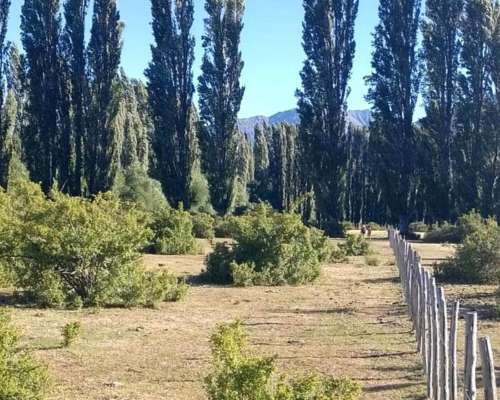 2.5 Ha Paraiso en Epuyen Chubut