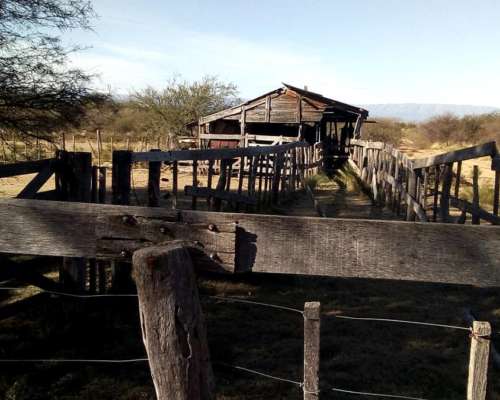 Vendo Campo Ganadero en San Luis