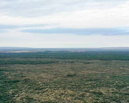 Pcia. de Santiago del Estero - Tapso 1948 Has