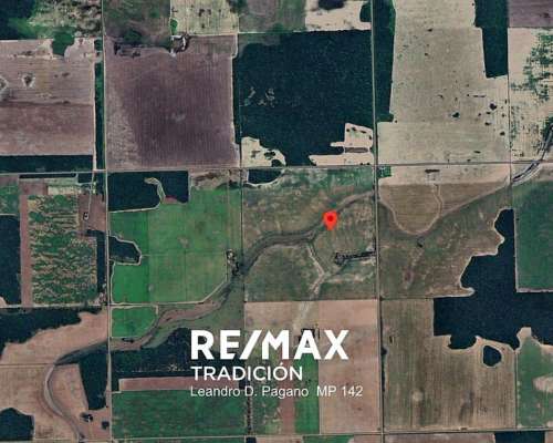 Campo Agricola en Venta - 100has Colonia J.marmol