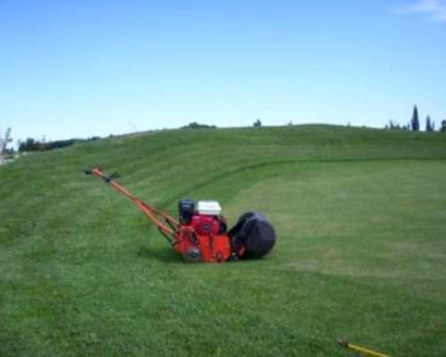 Maquinas Especiales Tigre HG 50 para Golf
