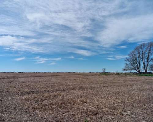 Crotto, Tapalqué, Buenos Aires - 440 Ha