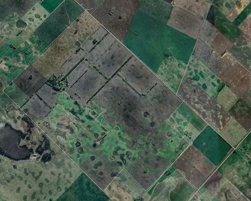 Realico la Pampa Argentina