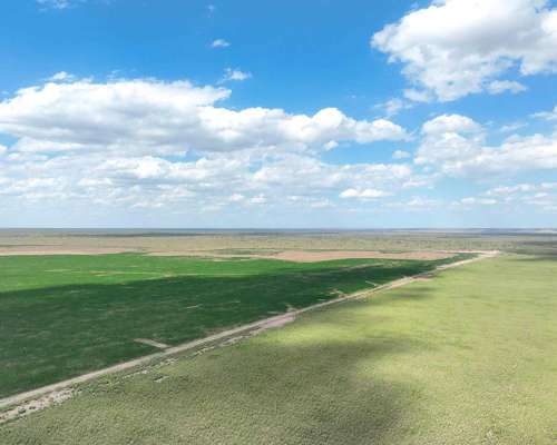 Pcia. de San Luis - Nahuel Mapa 3458 Ha