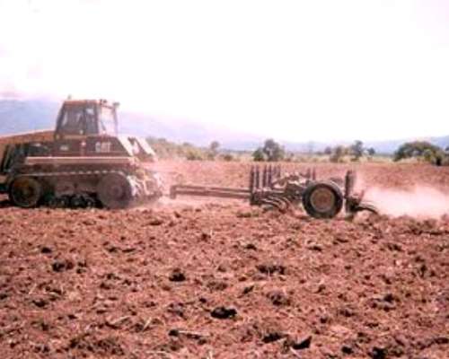 Cincel de Arrastre Genovese AC 120 ZAC