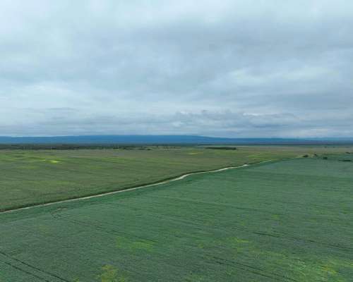 Pcia. de Catamarca - Bañado de Ovanta 437 Ha